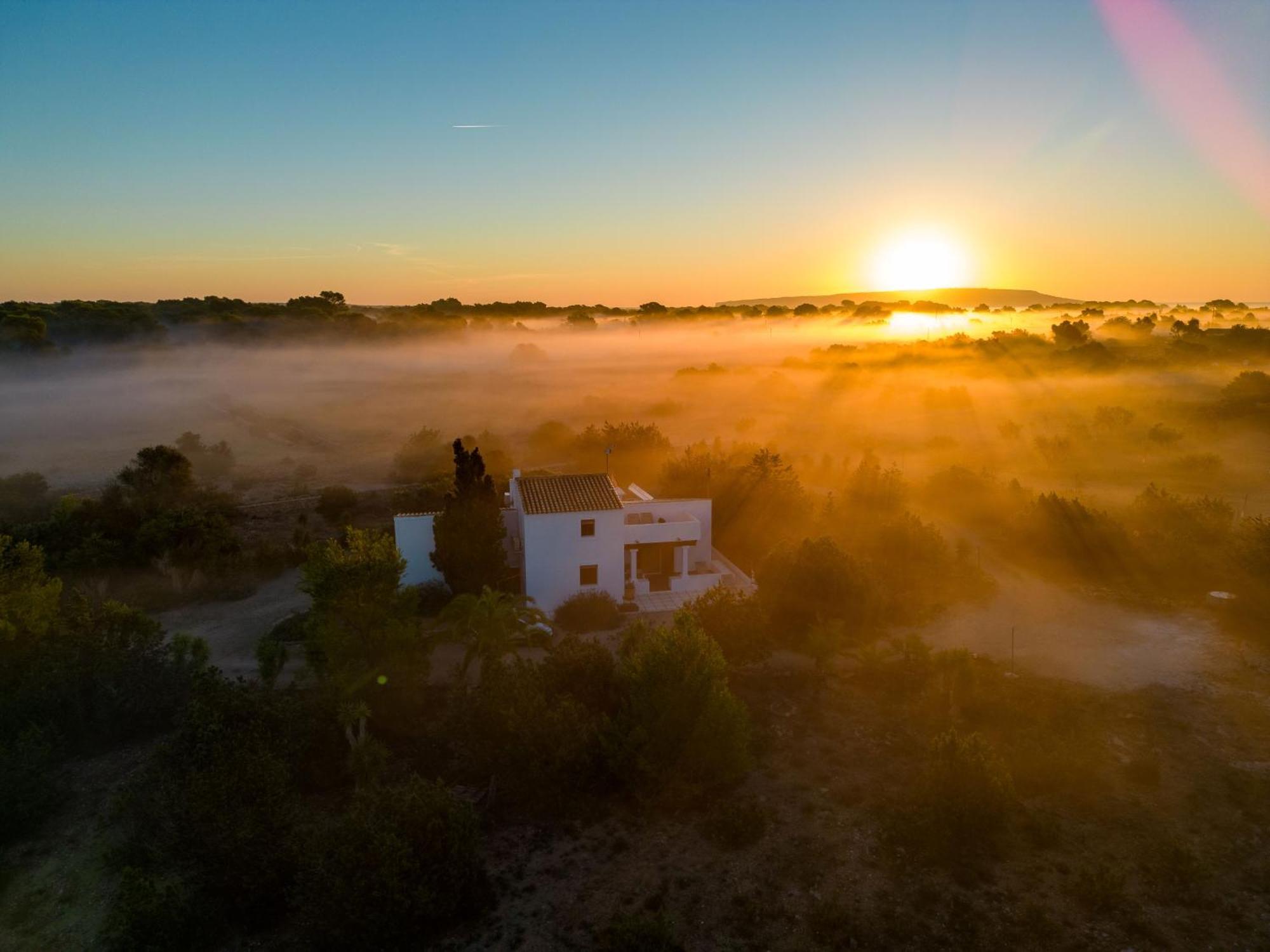 Ses Oliveres Cala Saona Exterior foto